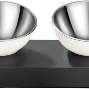 Stainless Steel Elevated Dog Bowls Set, Dual Raised Cat Water Bowls for Indoor for Healthy Digestion