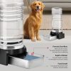 2.3 Gallon Dog Water Dispenser, Large Dog Water Bowl Dispenser with Stainless Steel, Automatic Gravity Pet Bowl for Dogs Medium to Large (3 Filters) 8.6L