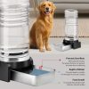 Marchul 1 Gallon Cat Water Dispenser, Automatic Gravity Dog Water Bowl Dispenser with 3 Filters, Stainless Steel Large Capacity Cat Waterer for Cats and Small Dogs (3 Filters) 3.8L