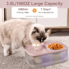 Cat Water Fountain and Stainless Steel Food Bowl, 100oz/3L Super Quiet Automatic Pet Water Dispenser with Smart Pump and 3 Replacement Filters for Cats and Small Dogs, Pink