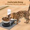 2-in-1 Dog Bowl, Elevated Cat Food and Water Bowl with No-Spill Mat, 15° Tilt Stainless Steel Dish + 500ml Leak-Proof Bottle, Easy Clean Design (Dry/Wet Food & Water)