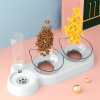 Raised Three Cat Dishes for Food and Water, Pet Feeding Bowls with Automatic Water Bottle
