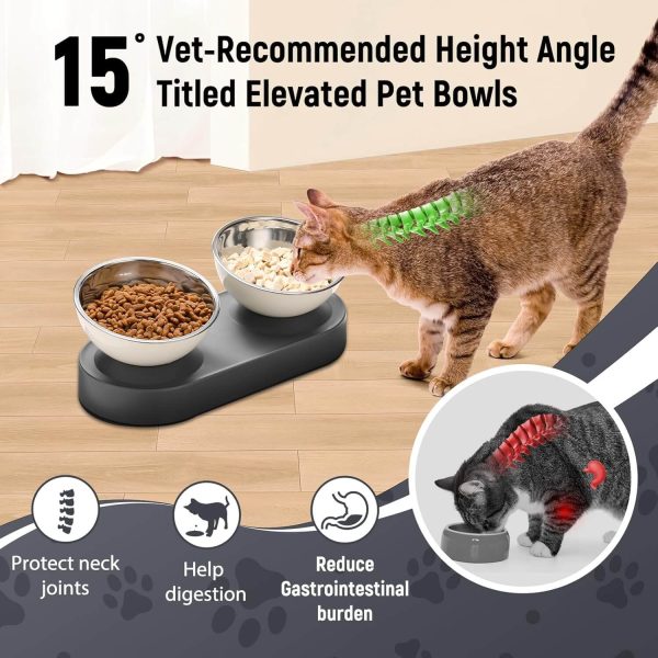 Stainless Steel Elevated Dog Bowls Set, Dual Raised Cat Water Bowls for Indoor for Healthy Digestion