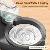 Stainless Steel Dog Cat Bowls, 15° Tilted Elevated Cat Food and Water Bowl Set with 500ml Gravity Bottle for Small Medium Pets, Leak-Proof