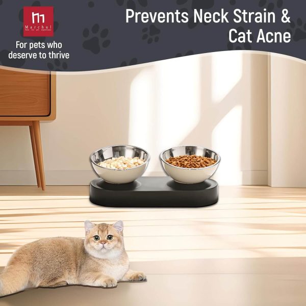 Stainless Steel Elevated Dog Bowls Set, Dual Raised Cat Water Bowls for Indoor for Healthy Digestion