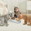 3-in-1 Cat Bowl, Ceramic Food and Water Bowl Set, 15° Sloped Design, for Indoor Cats, Small Dogs, and Medium Dogs