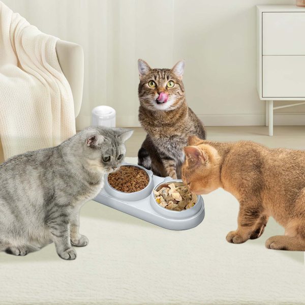3 in 1 Cat Bowl, Cat Food and Water Bowl Set with Water Dispenser and Stainless Steel Bowls, 15° Tilted Pet Raised Three Bowls for Indoor Cats, Small or Medium Sized Dogs