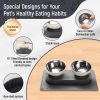 Stainless Steel Elevated Dog Food Bowls Set with Spill Proof Dish Mat, Raised Tilted Cat Bowl for Healthy Digestion, 1-Second Detachable & Dishwasher Safe