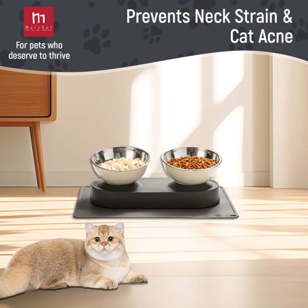 Stainless Steel Elevated Dog Food Bowls Set with Spill Proof Dish Mat, Raised Tilted Cat Bowl for Healthy Digestion, 1-Second Detachable & Dishwasher Safe