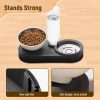 Stainless Steel Dog Cat Bowls, 15° Tilted Elevated Cat Food and Water Bowl Set with 500ml Gravity Bottle for Small Medium Pets, Leak-Proof