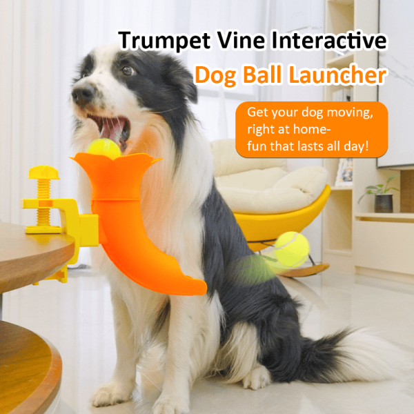 Dog Ball Launcher Toy, Adjustable Height Launcher Ball Thrower for Indoor/Outdoor Fetch Play, Interactive Energy Release Tool for Medium & Large Dogs, Easy Mount on Door/Post/Table